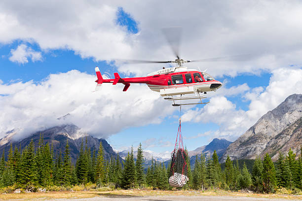 istock Helicopter carrying gas tanks 491134220