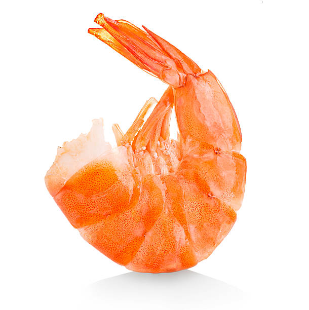 istock Tiger shrimp. Prawn isolated on a white background. Seafood 491135702