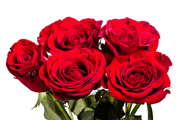 istock Bouquet of red roses isolated on white 491136450