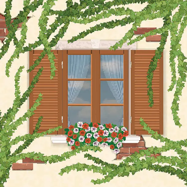 Vector illustration of Wooden window with shutters, overgrown ivy.