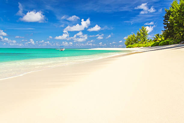 Virgin beach Laguna Seychelles, Denis island stock photo