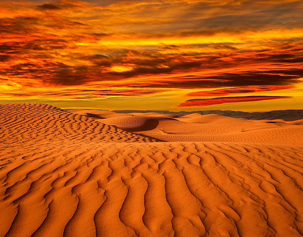 istock Desert of North Africa 491140127