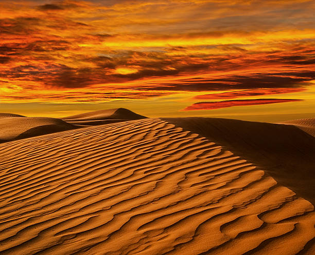 istock Desert of North Africa 491140187
