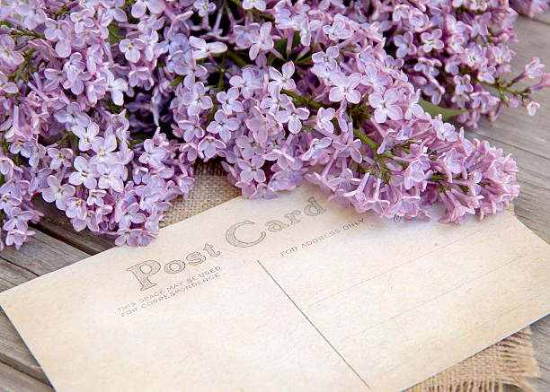 istock Lilac and postcard on weathered wood 491140235