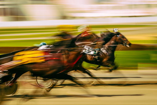 Horse racing, motion blur.