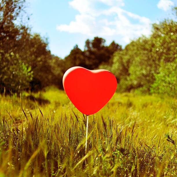 Love in winter. Heart shaped symbol Valentine Day. heart with hands, Feelings and Lifestyle concept on the sunset light