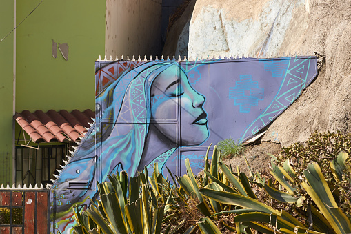 Valparaiso, Сhile - May 6, 2014: Colourful mural decorating the streets of the world heritage city of Valparaiso in Chile. Valparaiso has many beautiful murals decorating the walls and buildings in the old city.