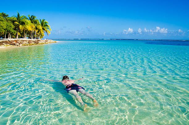 istock Snorkeling in clear water 491143627