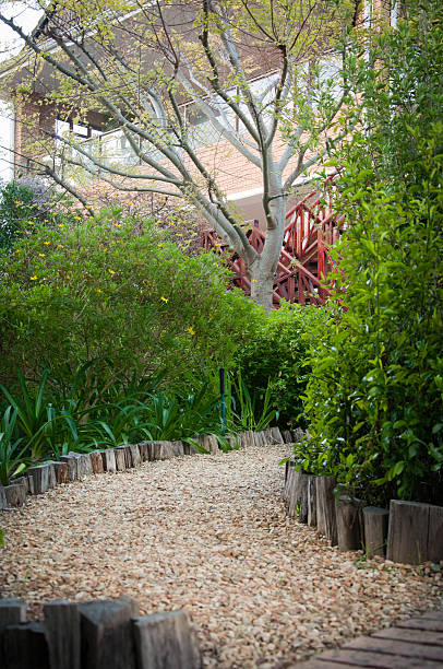 istock Gravel Path in a Garden 491144377