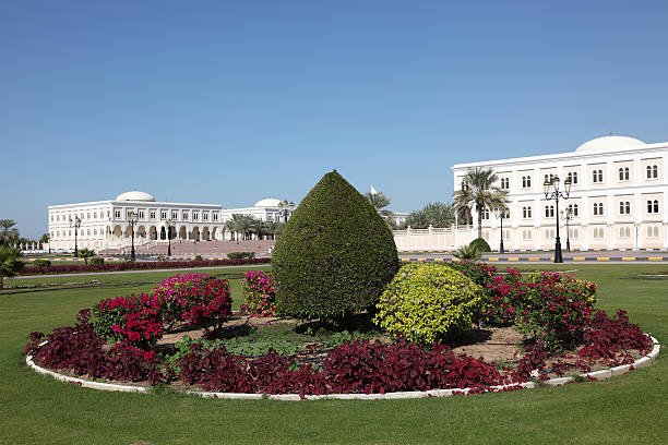 istock American University of Sharjah 491144441