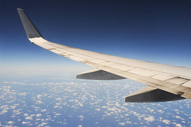 istock The wings of an airplane 491145281