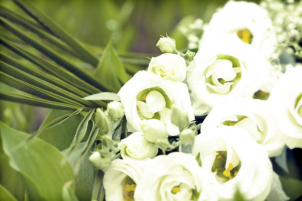 istock Bouquet of white roses 491145785