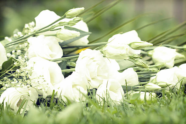 istock Bouquet of white roses 491145789