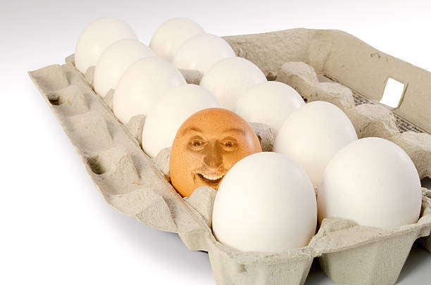 Brown egg amongst all the regular white eggs depicting Unique Individual and Leader concept.