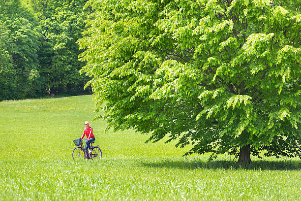 Free picture: A bicycle in a grassy green field with trees and bushes ...