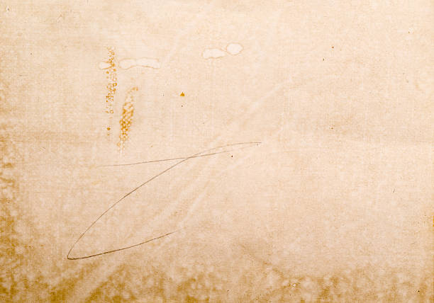 istock Photo of old paper texture 491148008