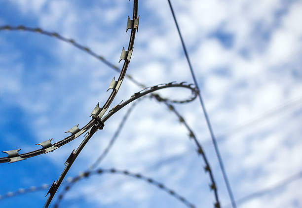 istock Barbed wire against the blue sky 491149382
