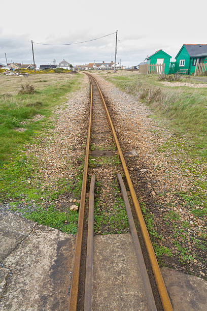 istock Narrow gauge rail tracks 491150076