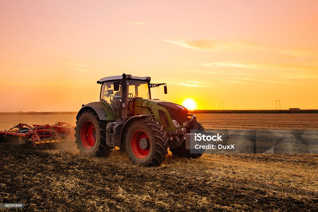 Tractor on the field Tractor on the barley field by sunset. Tractor Stock Photo