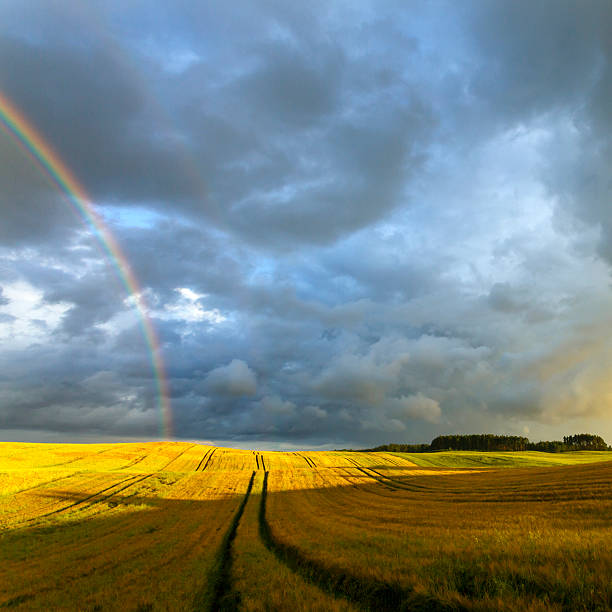 istock Fields Rainbow And Colorful Sunset Landscape 491152522