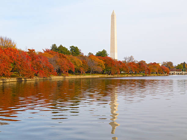 istock Washington Monument and the Tidal Basin in autumn. 491166664