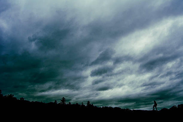istock Silhouetted Figure on Moody Sky Background 491168592