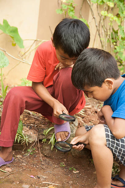 istock Elementary age children enjoy discovering nature. Magnifying glasses. 491169388