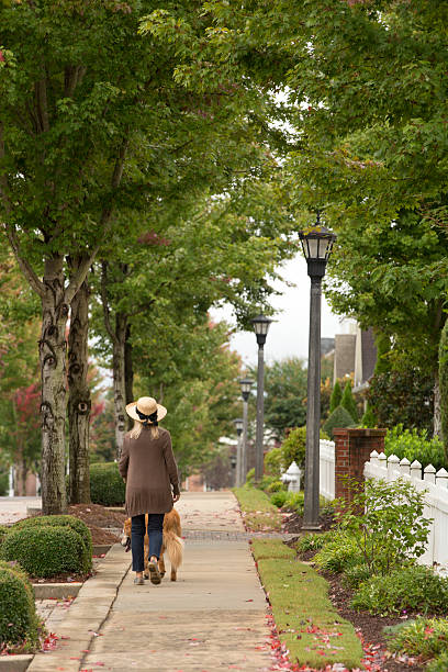 istock Woman taking a stroll and walking the dog 491169452