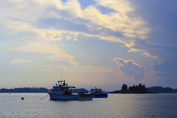 hummer-boote im hafen von smoored maine - port clyde stock-fotos und bilder