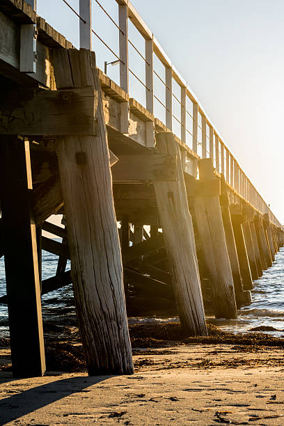 istock Wooden pier at sunset 491171164