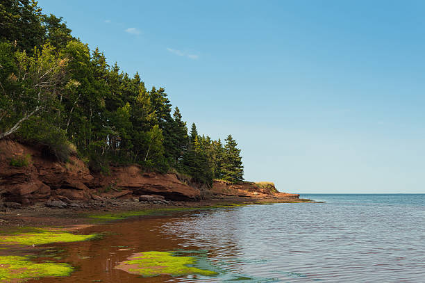 istock Beach at Belmont Provincial Park 491171684