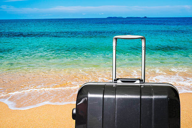 istock Travel suitcase is alone on a beach 491173032