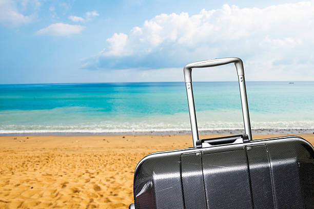 istock Travel suitcase is alone on a beach 491173046