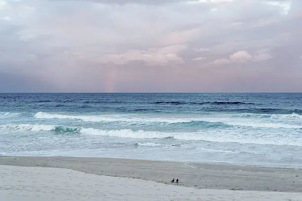 View over a stormy ocean at Peregian Beach, Qld,  with pastel pink sunset rainclouds and a small rainbow stretching from ocean into clouds near the centre, two black and white birds (australian magpies) sit near bottom right of image on the beach together