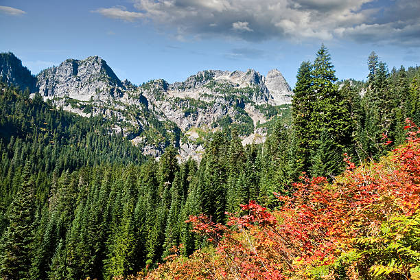 Chair Peak in the Fall In the high Cascade Mountains, vine maples dominate the landscape with their vibrant red and orange colors. This fall scene was photographed on the Snow Lake Trail in the Alpine Lakes Wilderness of Washington State, USA. jeff goulden alpine lakes wilderness stock pictures, royalty-free photos & images