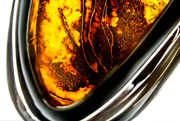 istock Amber jewelery 491187258