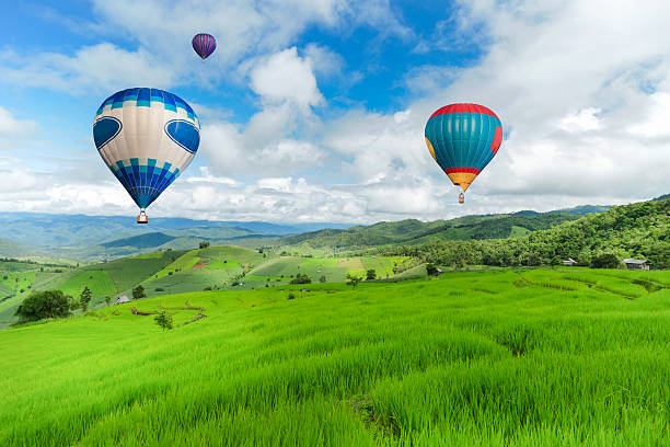 istock Balloon flying on rice field, Rice field in mountain 491188250