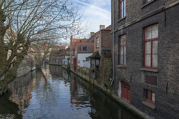 istock Houses on the water, Bruges, Belgium 491189086
