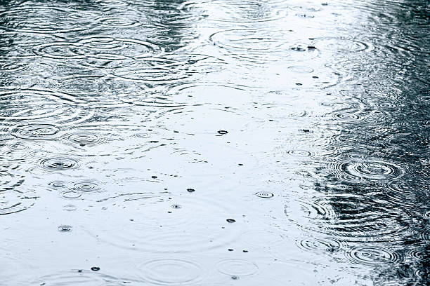 istock flooded sidewalk with rain puddles 491189784