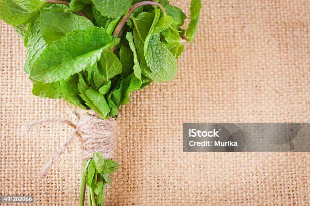 Bunch Of Mint On A Burlap Background Stock Photo - Download Image Now - 2015, Aromatherapy, Bunch