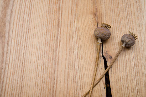 istock Dried poppy seeds on a wooden table 491202136