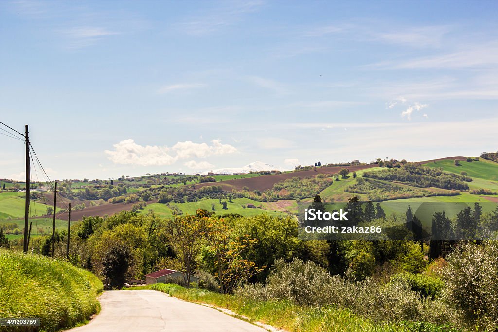 夏の朝には、緑の丘 - イタリアのロイヤリティフリーストックフォト