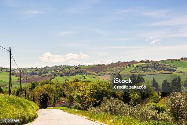 夏の朝には緑の丘 - イタリアのストックフォトや画像を多数ご用意 - イタリア, イタリア文化, キャンティ地方