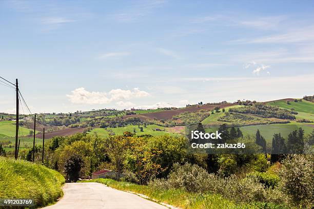Foto de Dia De Verão Nas Colinas Verdes e mais fotos de stock de Agricultura - Agricultura, Ajardinado, Alpes europeus