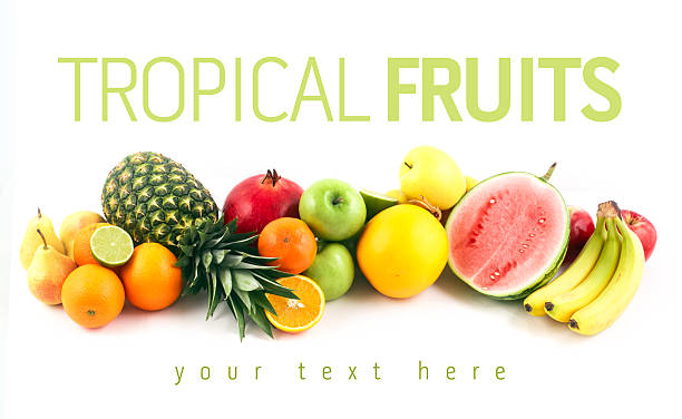 istock Fruits on white background with space for text. Organic food. 491203909