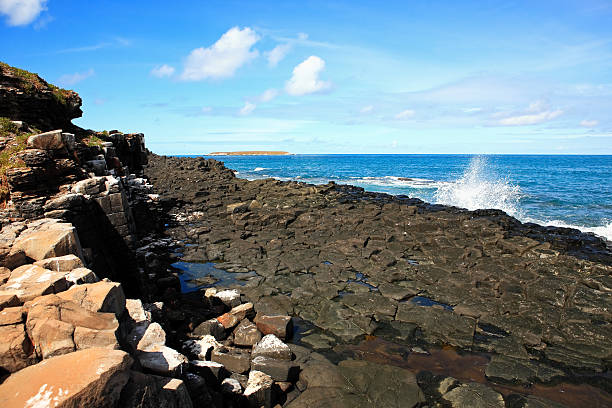 istock Abrolhos islands Bahia state Brazil 491203931