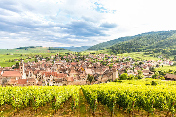 istock Riquewihr Alsace France 491203968