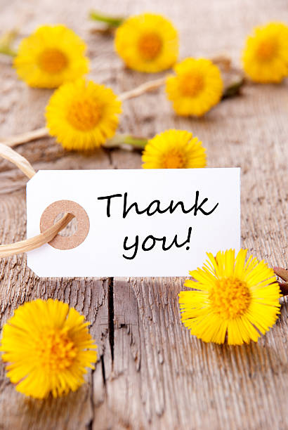 istock Yellow Flowers with Thank You 491203985