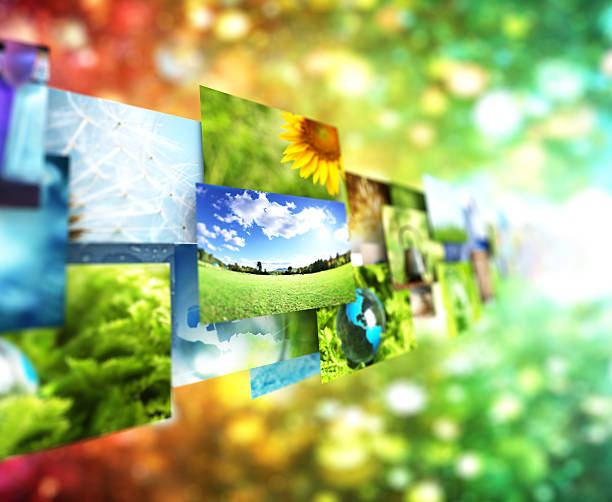istock Collage of images background 491204079