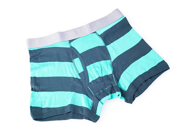 istock striped male brief boxers isolated on white background 491204925